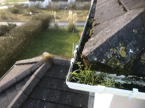 gutter-cleaning-letterkenny-before-photo Gutter Cleaning-Letterkenny Before Photo